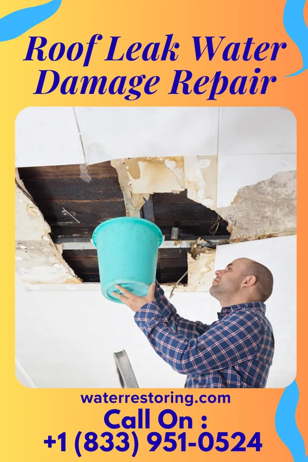 Roof Leak Water Damage Repair in Grambling, LA