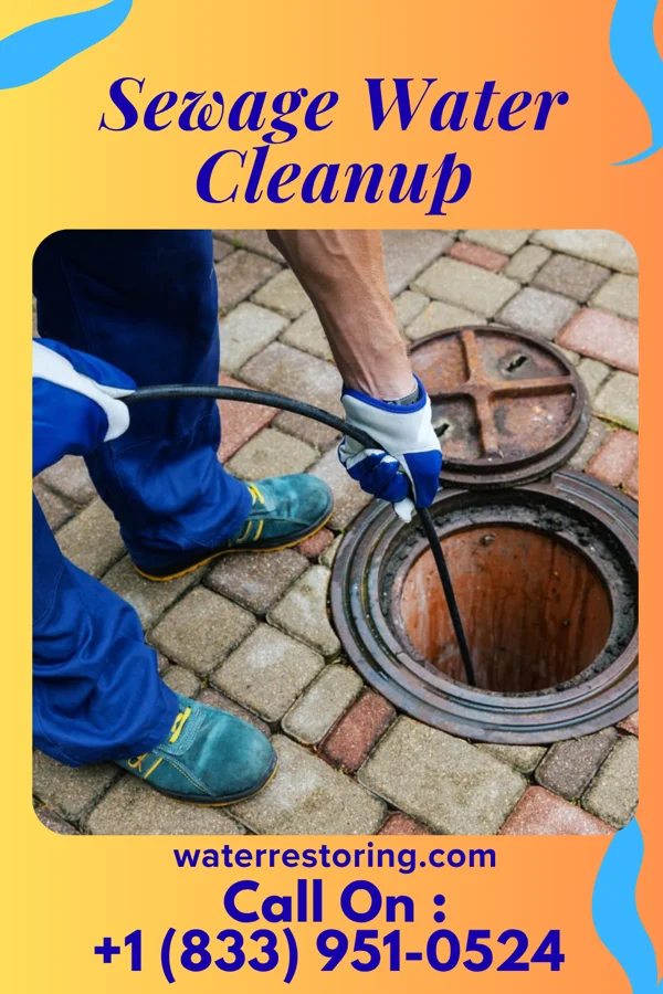 Sewage Water Cleanup in Grambling, LA